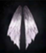 Armor Image