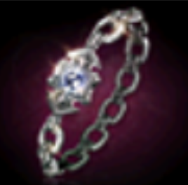 accessory Image